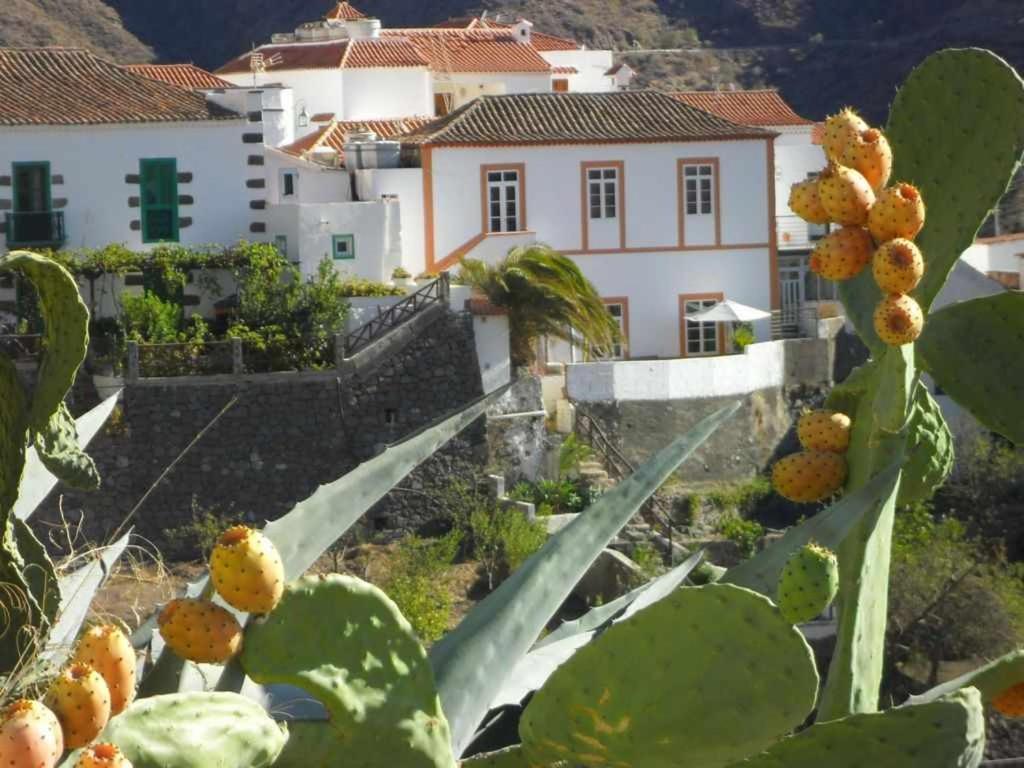 Casa Rural Las Cascaras Tejeda  Bagian luar foto